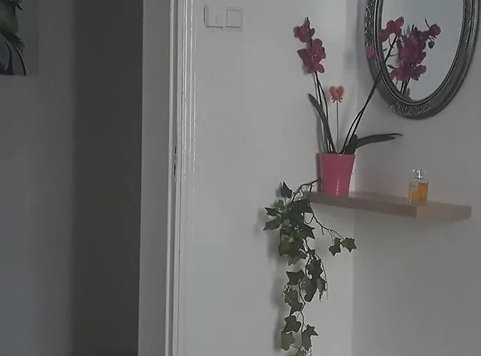 Apartment Beautiful Center Flat *