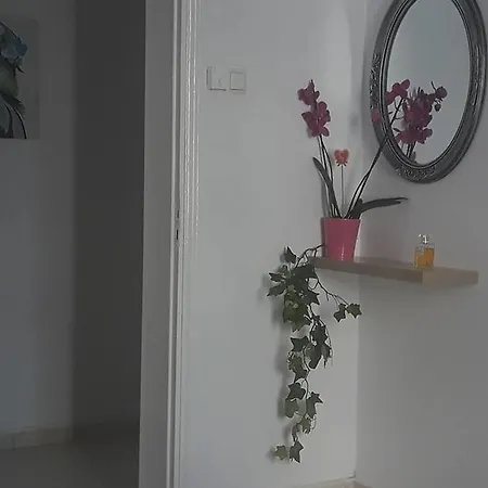 Apartment Beautiful Center Flat *