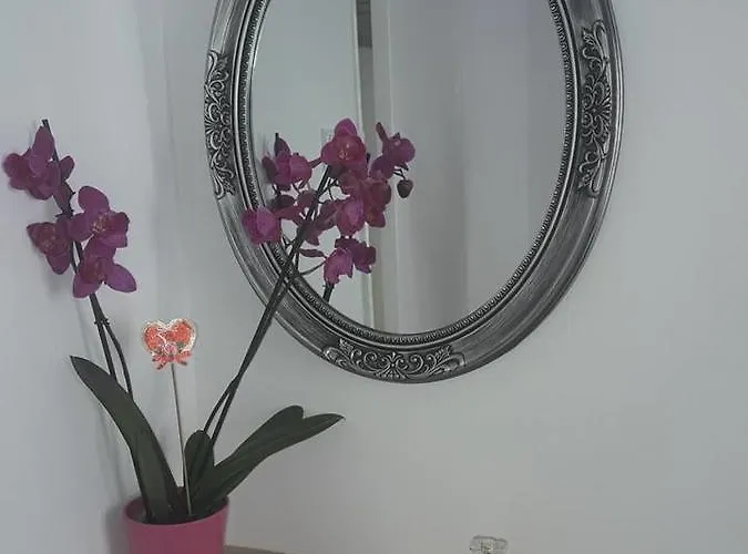 Beautiful Center Flat *